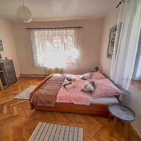 Apartmán Isabel Decin Exterior foto